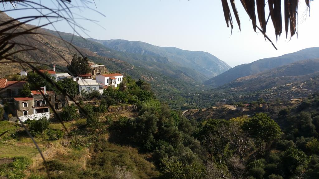 Panorama