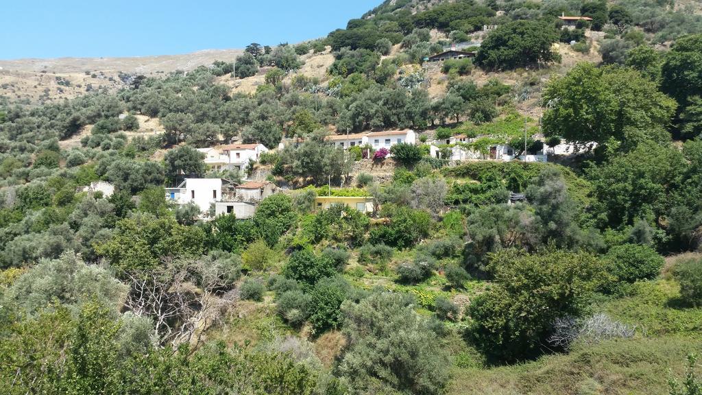 Apartamento Panorama